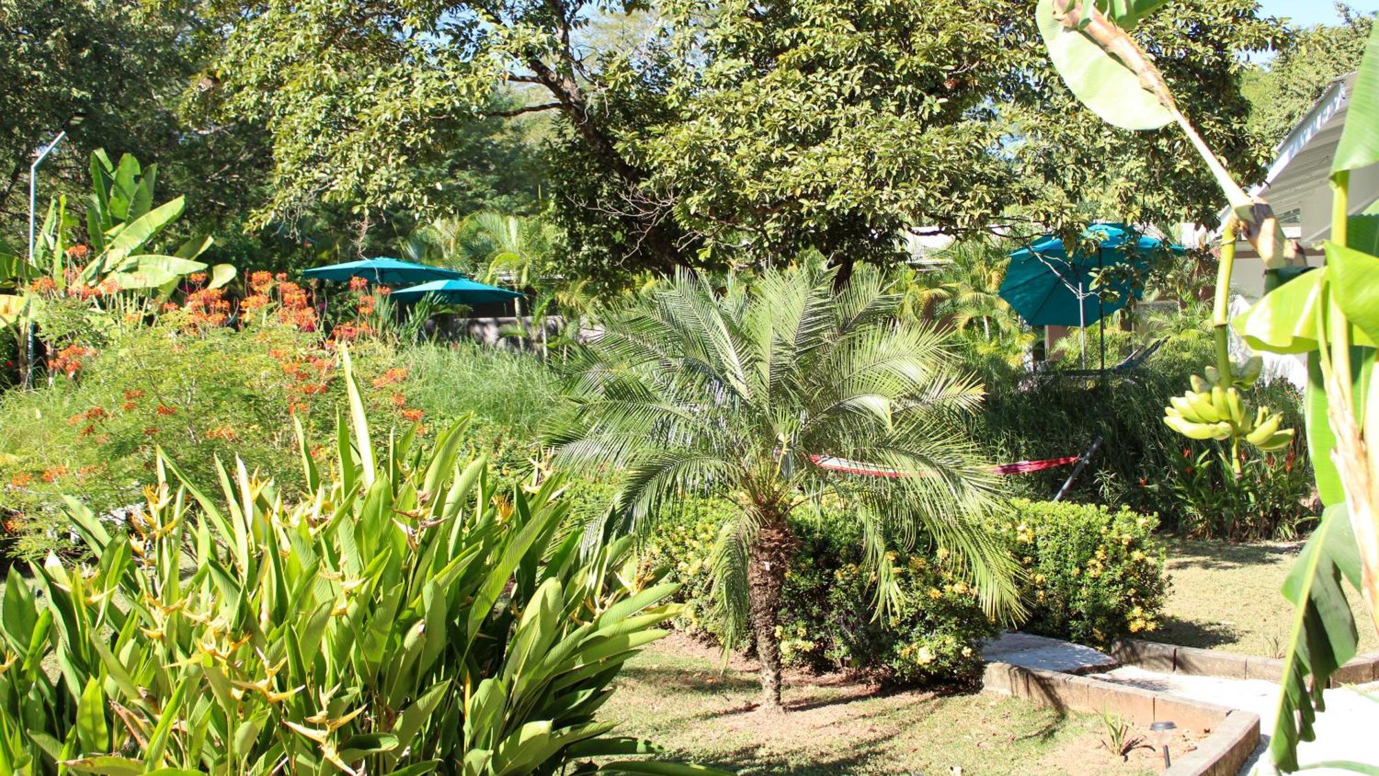 Tee-K Lodge Tamarindo Buitenkant foto