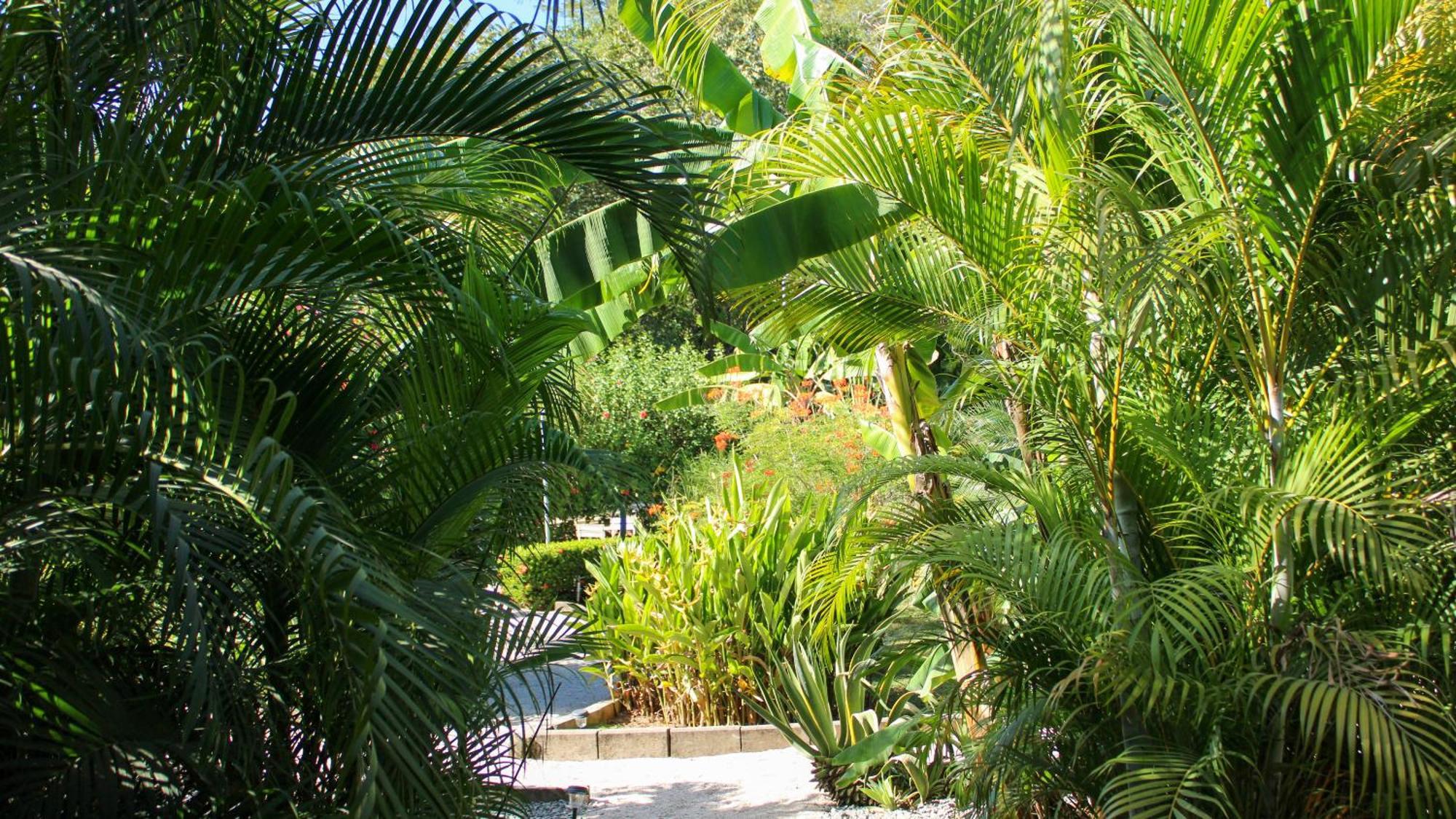 Tee-K Lodge Tamarindo Buitenkant foto